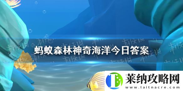 海豚有牙齒嗎
