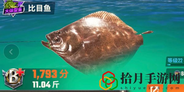 全圖鑒一覽 競技場排名提升的秘訣