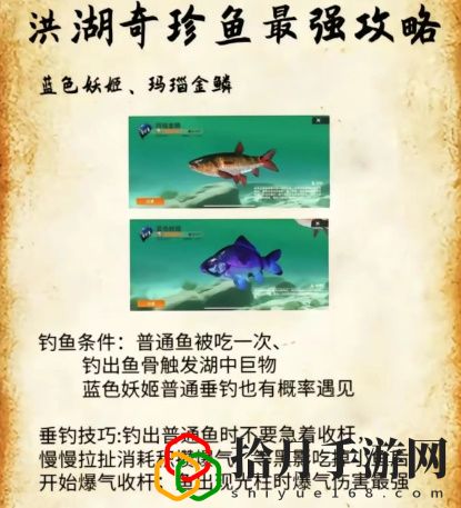 洪湖最后兩條魚位置和垂釣技巧分享 共同探索游戲世界