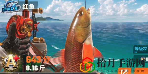 全圖鑒一覽 競技場排名提升的秘訣
