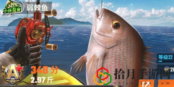 全圖鑒一覽 競技場排名提升的秘訣