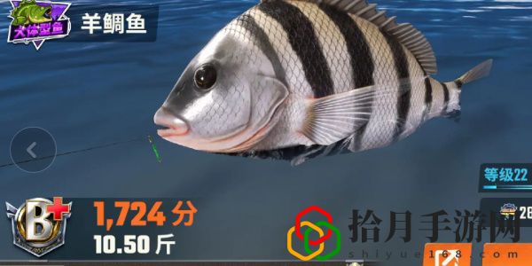 全圖鑒一覽 競技場排名提升的秘訣