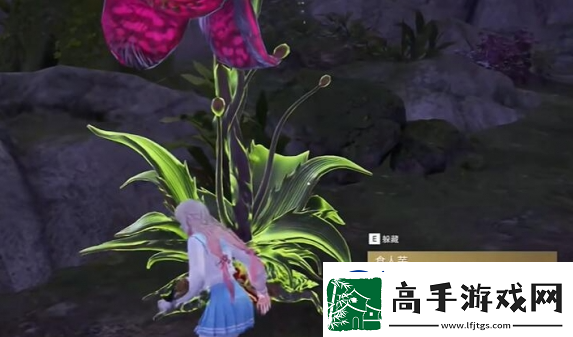 永劫無間龍隱洞天食人芋位置分享
