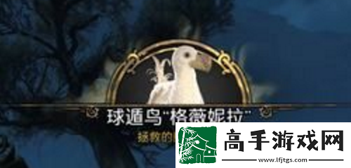霍格沃茨之遺豐羽之鳥(niǎo)任務(wù)如何完成