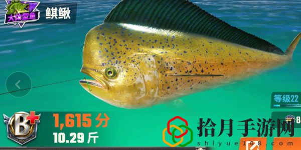 全圖鑒一覽 競技場排名提升的秘訣
