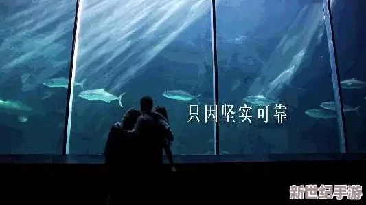 探索免費的靠逼視頻資源