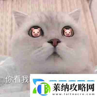 兜風嗎妹妹表情包