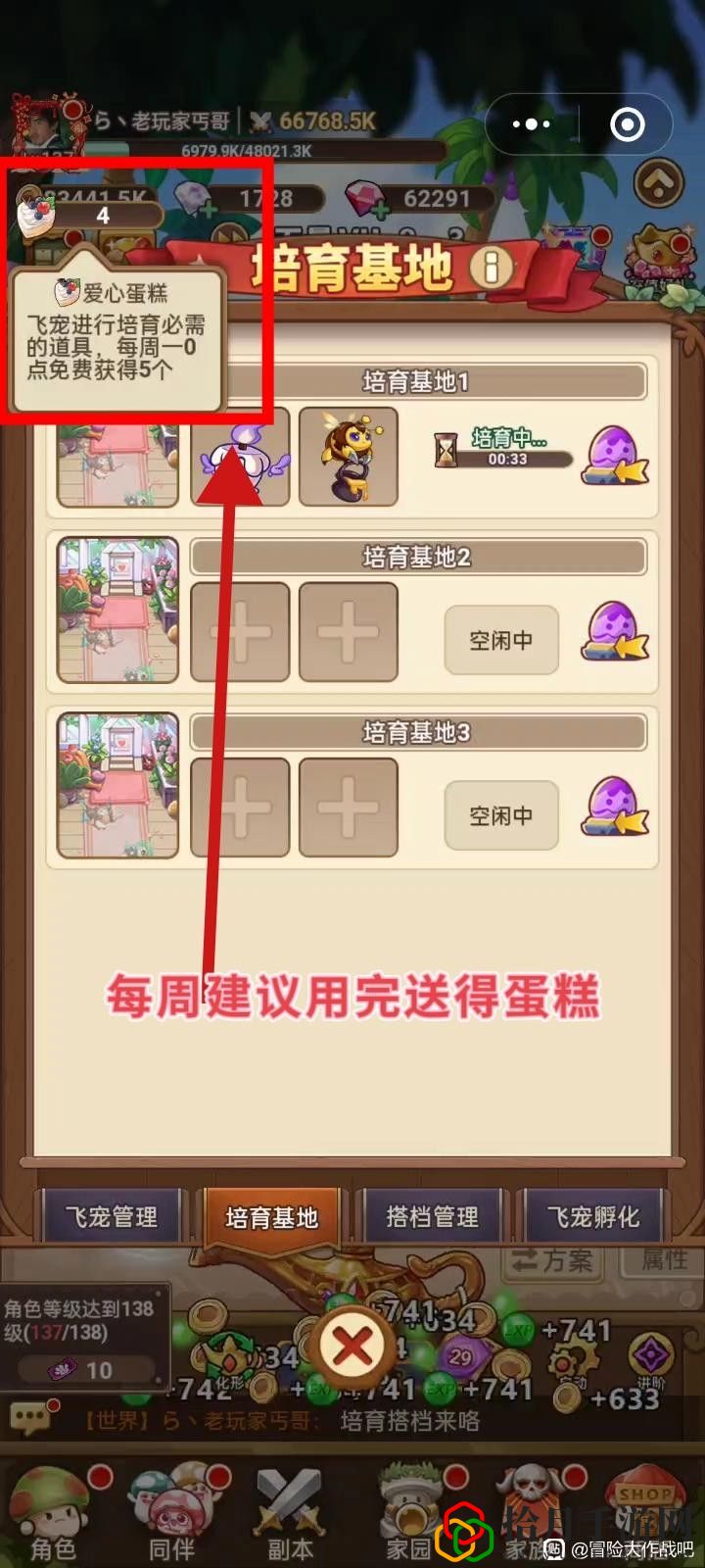 飛寵管理及云纏天梯試煉補充建議 明確自己的角色發揮最大作用