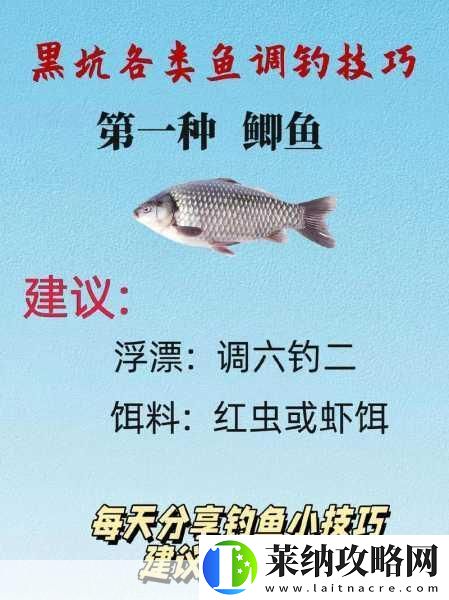 彈涂魚垂釣秘籍
