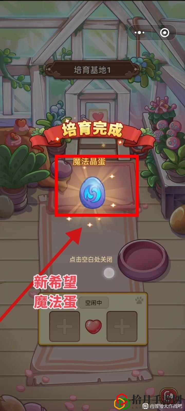 飛寵管理及云纏天梯試煉補充建議 明確自己的角色發揮最大作用