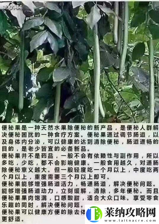 果味型果凍真的能有效緩解便秘嗎