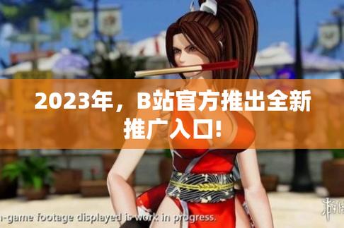 b站推廣網站2023mmm