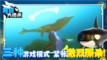 輻射避難所最強搭配指南