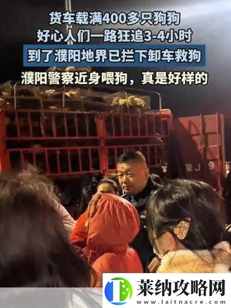 春節歸家奇遇記友車內滿載愛犬帶窩共赴團圓路