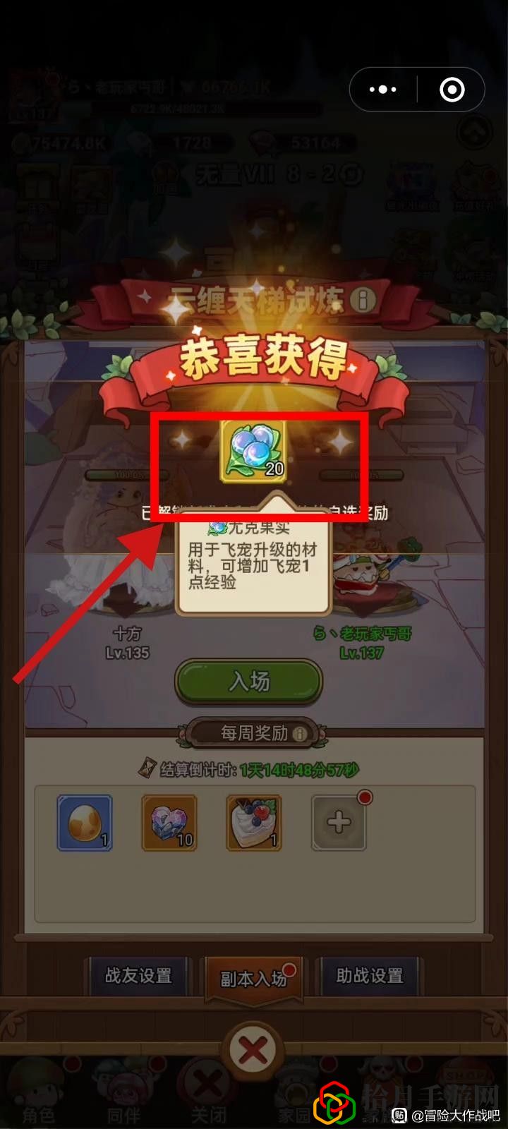 飛寵管理及云纏天梯試煉補充建議 明確自己的角色發揮最大作用