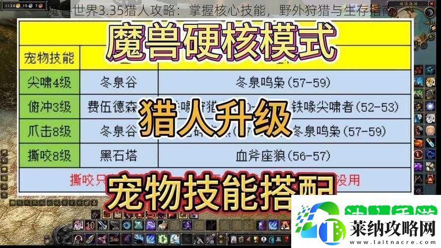 魔獸世界3.35獵人攻略
