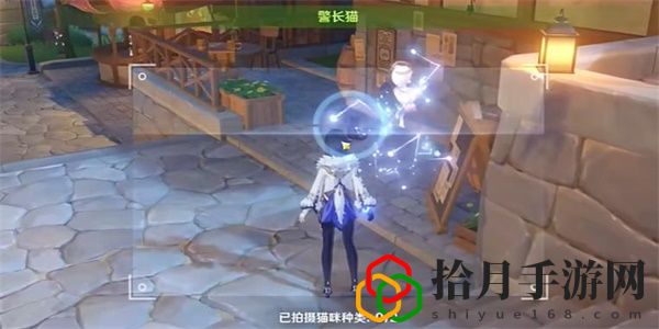 布景取材攻略 稀有材料全獲取指南