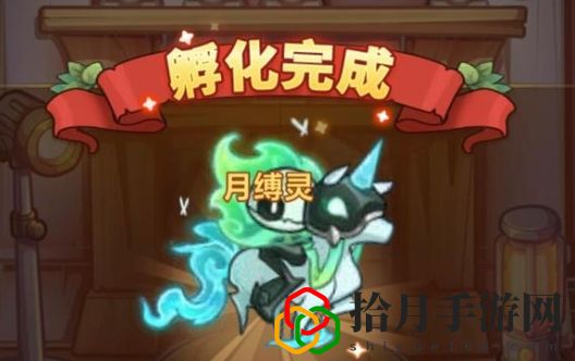 飛寵紫色詞條更稀有嗎？ 戰斗勝利全方案推薦